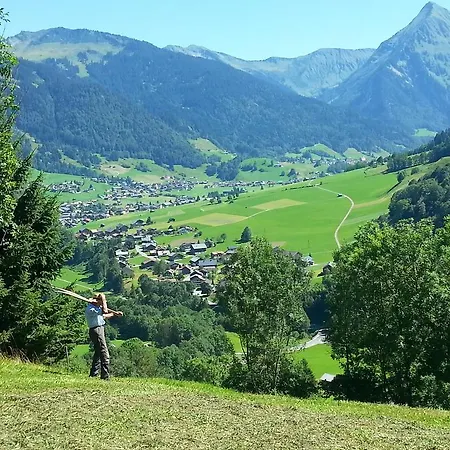 Bauernhof Duenser Au (Vorarlberg) Exterior photo