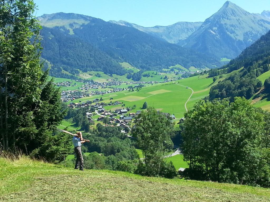 Farma Bauernhof Duenser Au (Vorarlberg)