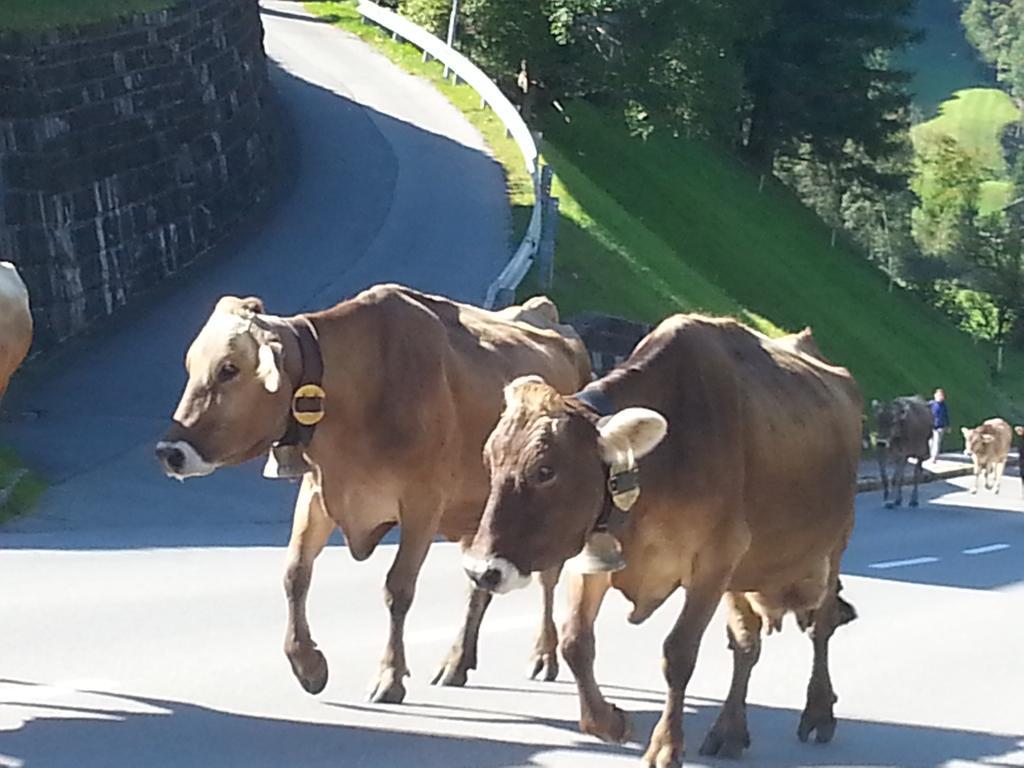 Farm stay Bauernhof Dunser Au (Vorarlberg)