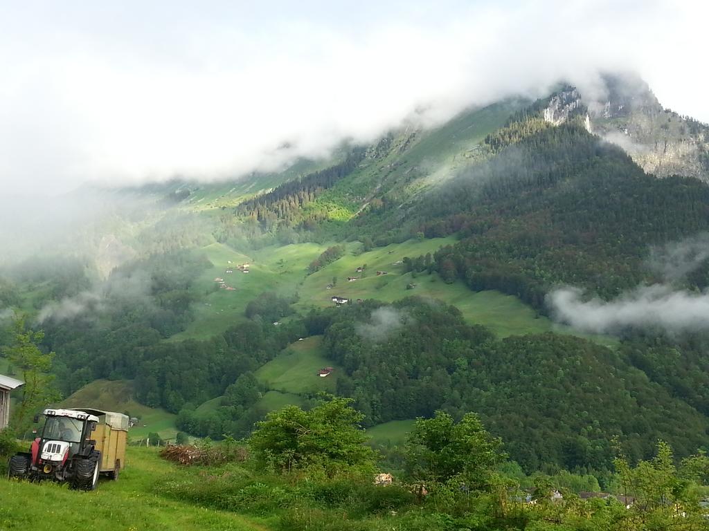 Bauernhof Dunser Au (Vorarlberg)