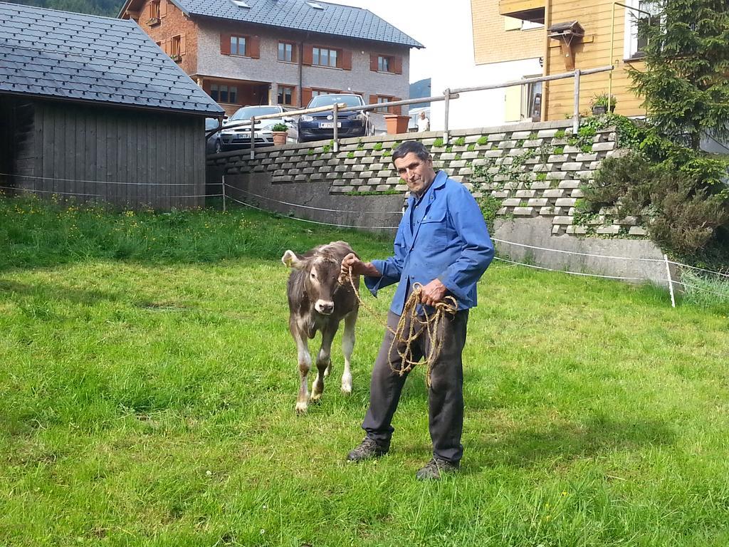 Farma Bauernhof Duenser *