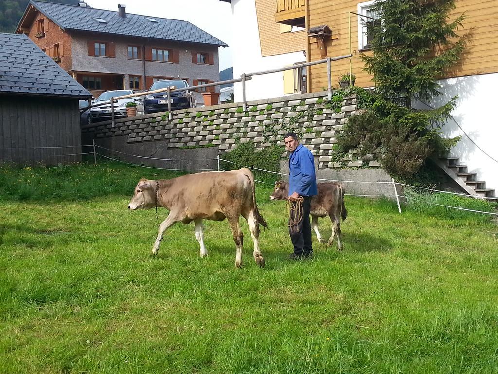 Bauernhof Duenser *